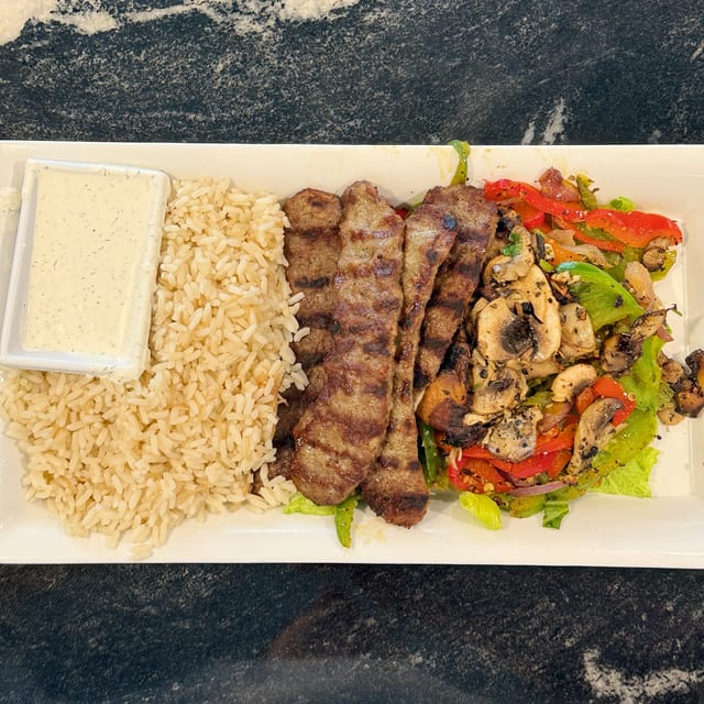 Gyro Plate.